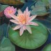 Lily Art Tile Backsplash Macon Flower Floral Kitchen Shower Mural LMA022   112947711313